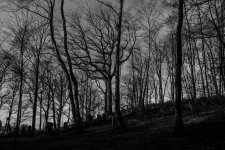 DSC_0803.jpg DSC_0803.jpg
