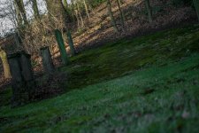 DSC_0787.jpg DSC_0787.jpg