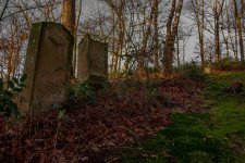 DSC_0796.jpg DSC_0796.jpg