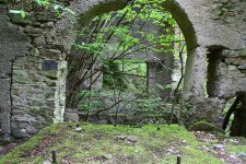 Fabrik im Wald9 (Small).JPG