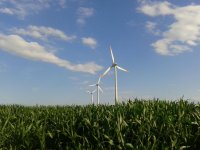 Windräder.jpg