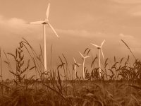 Windräder_2.jpg