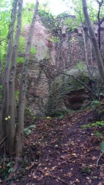 DSC_0574.jpg
