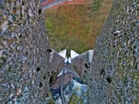 Burg Schreckenstein! 15.jpg