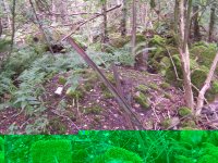 100_1682.jpg 100_1682.jpg
