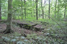 DSC_6292.jpg DSC_6292.jpg