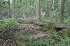 DSC_6294.jpg DSC_6294.jpg