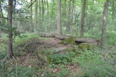 DSC_6295.jpg DSC_6295.jpg