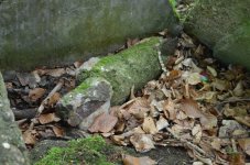DSC_6299.jpg DSC_6299.jpg