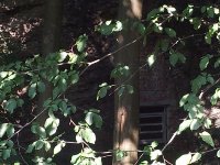 20160721_161029b.jpg 20160721_161029b.jpg
