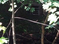 20160721_161059b.jpg 20160721_161059b.jpg