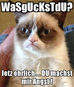 IMG_0056.PNG