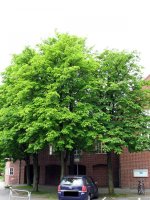 Lessing_02.jpg Lessing_02.jpg
