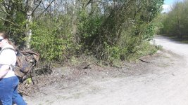 20170402_142234.jpg 20170402_142234.jpg