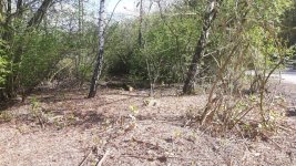 20170402_142247.jpg 20170402_142247.jpg