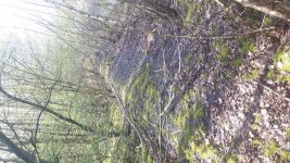 20170402_142648.jpg 20170402_142648.jpg