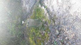 20170402_142729.jpg 20170402_142729.jpg