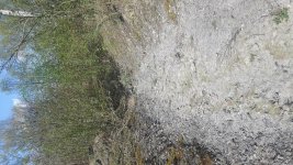 20170402_142839.jpg 20170402_142839.jpg