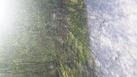20170402_142921.jpg 20170402_142921.jpg