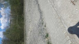 20170402_143050.jpg 20170402_143050.jpg