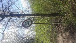 20170402_143324.jpg 20170402_143324.jpg