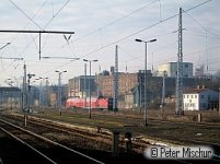 Malz_20090206_0350.jpg