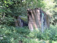 Mauerreste im Wald 11.jpg