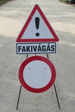 Ungarn-Straßenverkehr (4).JPG