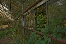 Gärtnerei Porz 4.JPG Gärtnerei Porz 4.JPG