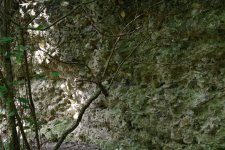 Schachtanlage im Wald2 (Small).JPG Schachtanlage im Wald2 (Small).JPG