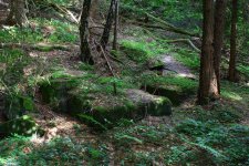 Schachtanlage im Wald5 (Small).JPG Schachtanlage im Wald5 (Small).JPG