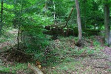Schachtanlage im Wald11 (Small).JPG Schachtanlage im Wald11 (Small).JPG