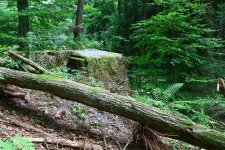 Schachtanlage im Wald18 (Small).JPG Schachtanlage im Wald18 (Small).JPG