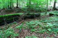 Schachtanlage im Wald24 (Small).JPG Schachtanlage im Wald24 (Small).JPG