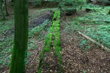 Schachtanlage im Wald25 (Small).JPG Schachtanlage im Wald25 (Small).JPG
