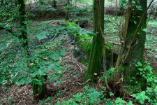 Schachtanlage im Wald26 (Small).JPG Schachtanlage im Wald26 (Small).JPG