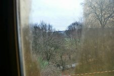 kotten14.jpg kotten14.jpg