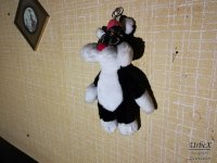 IMG_20180210_212931.jpg IMG_20180210_212931.jpg