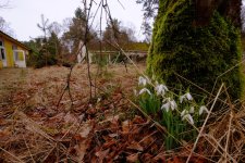 2017_0304_12193600.jpg 2017_0304_12193600.jpg