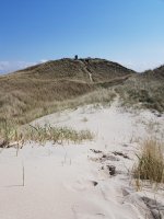 20180502_123557.jpg 20180502_123557.jpg