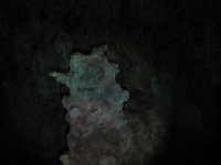 IMG_1505.jpg IMG_1505.jpg