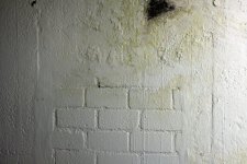 IMG-20180724-WA0130.jpg IMG-20180724-WA0130.jpg