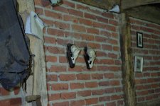 DSCF5323.JPG DSCF5323.JPG