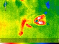 img_thermal_1515927016328.jpg img_thermal_1515927016328.jpg