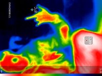 img_thermal_1543599933206.jpg img_thermal_1543599933206.jpg