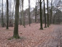 Hügelgrab 1.jpg Hügelgrab 1.jpg