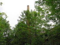IMG_0227.JPG