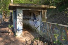 DSC_0442.jpg DSC_0442.jpg