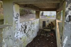 DSC_0443.jpg DSC_0443.jpg