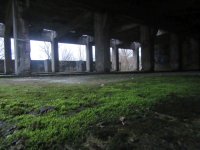 IMG_3552.jpg IMG_3552.jpg